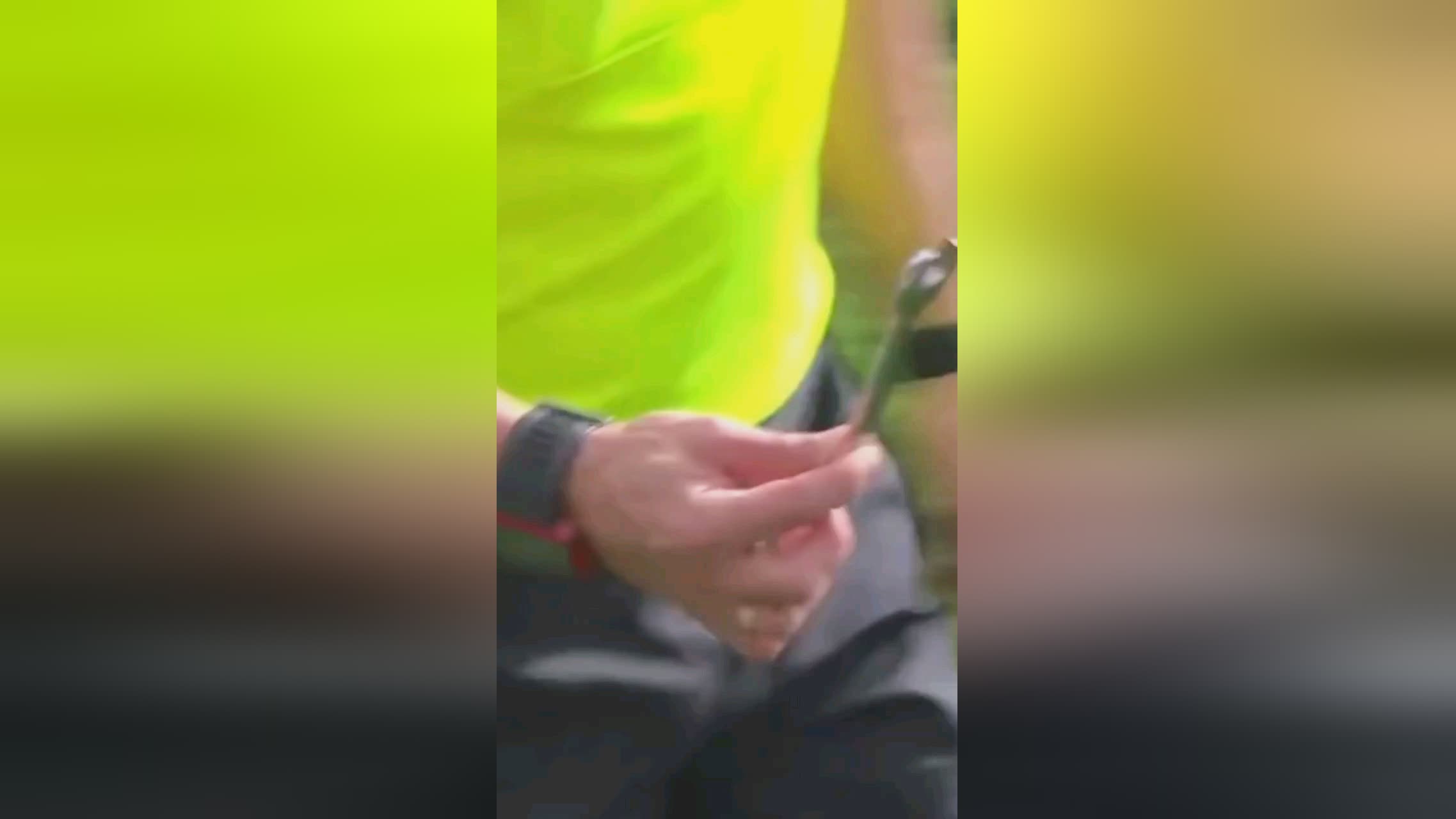 的到