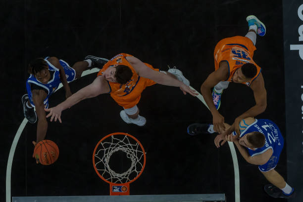 花海卡在钻 花海卡在钻